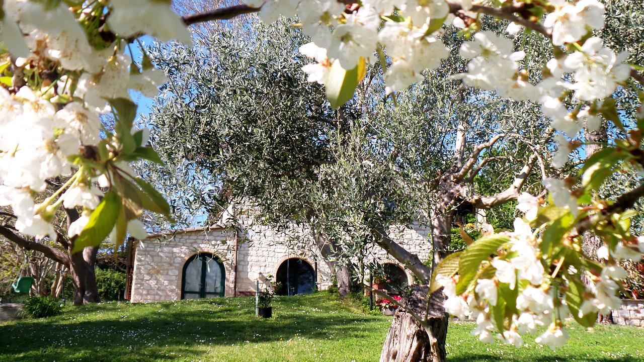 Campo Del Mare Bed & Breakfast Sirolo Dış mekan fotoğraf