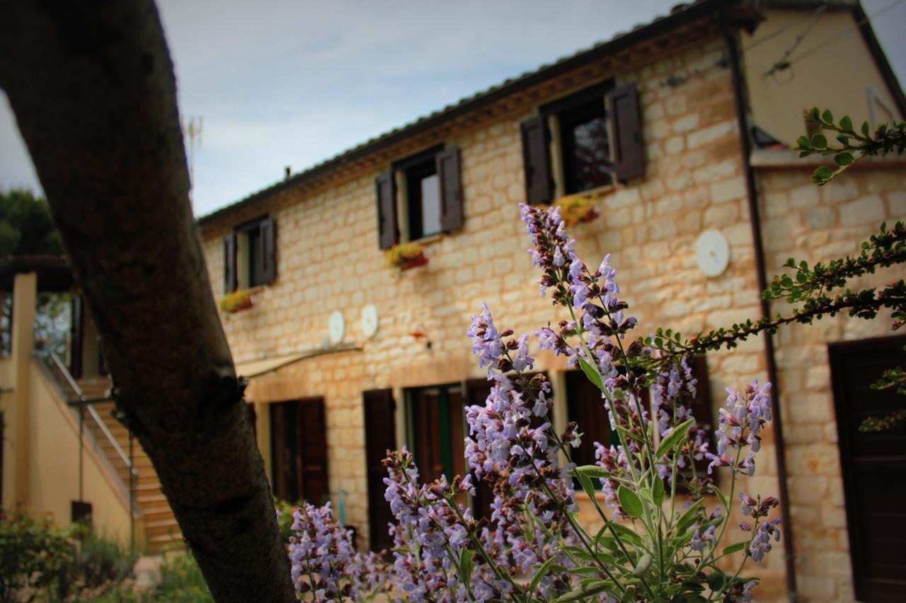 Campo Del Mare Bed & Breakfast Sirolo Dış mekan fotoğraf